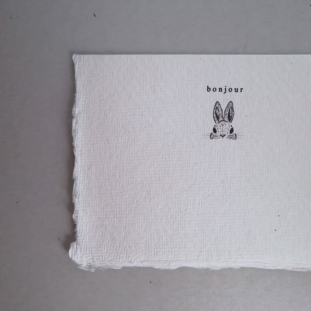 bonjour bunny greeting card